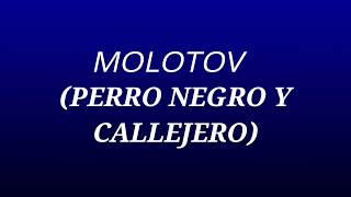 MOLOTOV (PERRO NEGRO Y CALLEJERO)