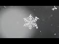 Feb 13 2022 SUPER Snowflake Macro Photography Results At The End