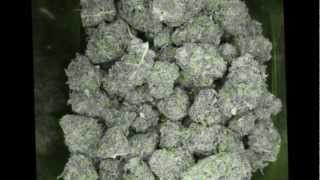 Tip Yo Cup !! -  Street Official & Lil Track