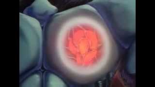 Cover art for Kioshoku Soko Guyver Full Opening