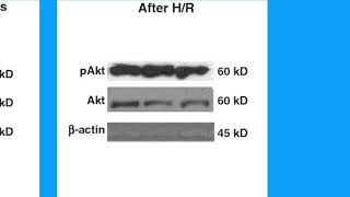 Download lagu 703000C28D368BDDF7052F7C5A22A6#1 mp3