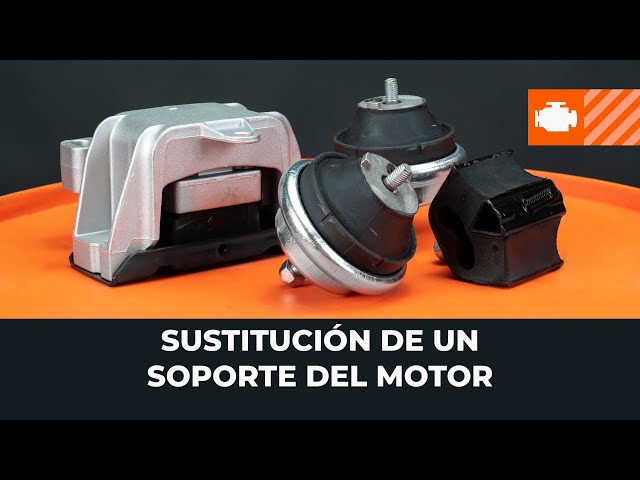 Vea una guía de video sobre cómo reemplazar DACIA 1309 Taco del motor