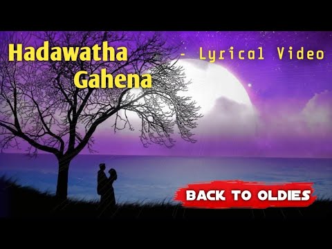 Hadawatha Gahena - Viraj Perera (Lyrical video).