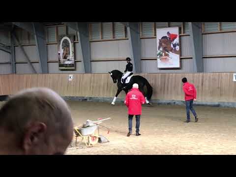 Iron - My Vitality - Rockabye S