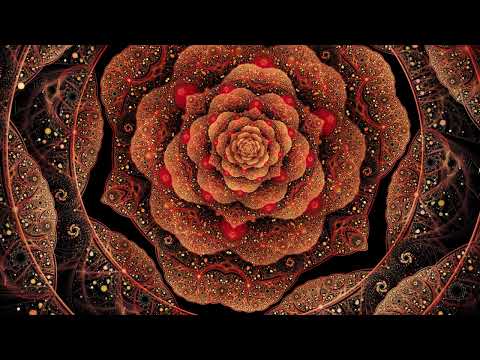 Zengineers - Tea on the terrace