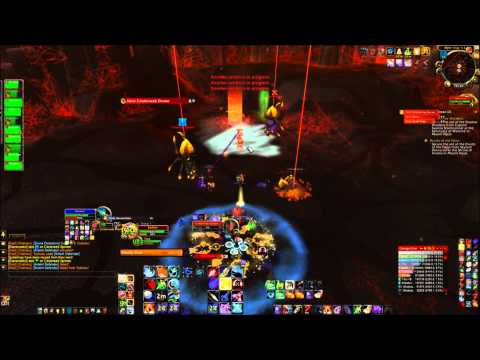 Evitus Stultus Bethtilac 10 man Norm