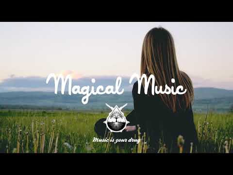 Anthony Harm - We Got The Life (feat. I Am Willow)