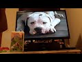Opening To Disney S The Incredible Journey 1997 Vhs