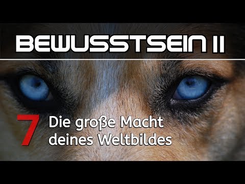 BEWUSSTSEIN II - Manipulationsgefahr als Chance zu wachsen