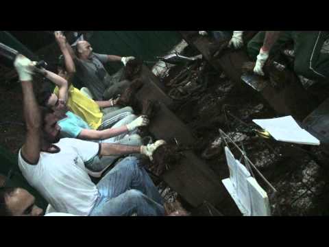 BATEÇÃO 11/14 - FLOR DE JAGUBE