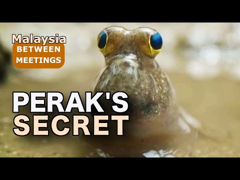 Is this the best kept secret in Malaysia? Exploring the soul of Perak.