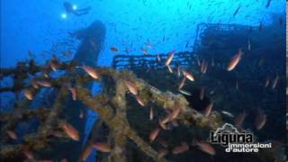 preview picture of video 'Immersione tecnica ad Arenzano (GE): relitto della nave Haven'