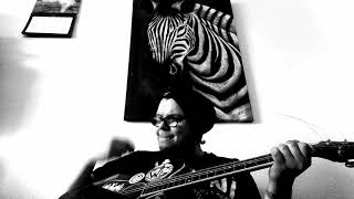 Die Welt von Mitteleuropa aus ( Wohlstandskinder ). Alles nur geklaut #2