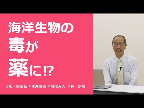「海洋生物の魅力　毒を薬にかえる」