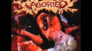 Aborted-Highway 1-35