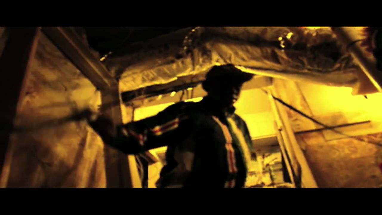 Songtext Tyler The Creator Vcr Musikguru