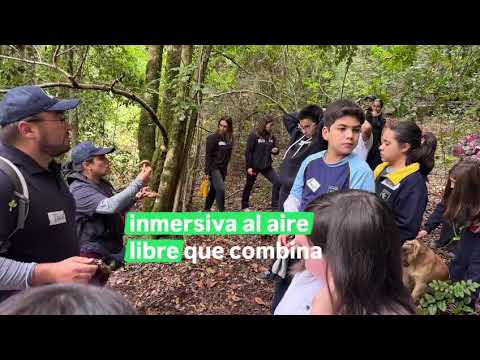Pitch Proyecto Colectivo Sernameg Tres Raíces del Biobío