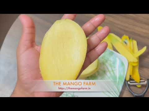 Farm video