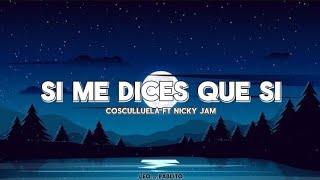 Cosculluela ft Nicky Jam - Si Me Dices Que Si (letra)