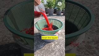 free organic liquid fertilizer for plants #shorts #fertilizer #plants