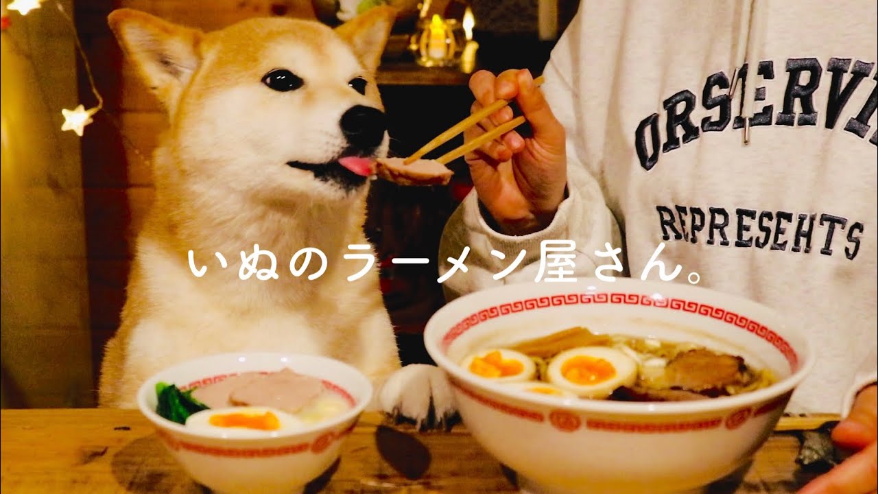 犬と一緒に食べたラーメンの味を、私は一生忘れないでしょう。