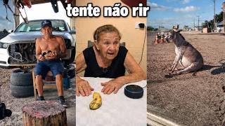 Whatsapp Memes Br - 45 Minutos de Vídeos Engraçados do Whatsapp 2026! Tente Não Rir #37