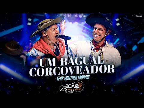 Um Bagual Corcoveador - João Luiz Corrêa & Grupo Campeirismo ( DVD 25 anos de Carreira) 4k 2024