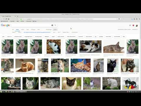 Google Bilder Rückwärtssuche