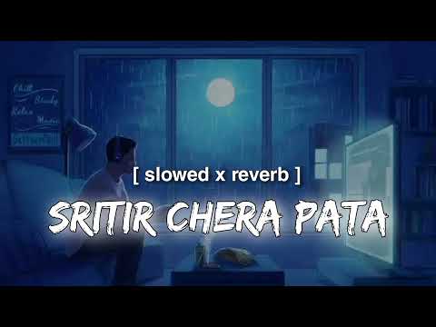 Sritir Chera Pata [ Slowed & Reverb ] Shunno | Bangla Lofi Song | Slowed World