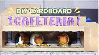 DIY Cardboard Cafeteria for Guinea Pigs | GuineaDad