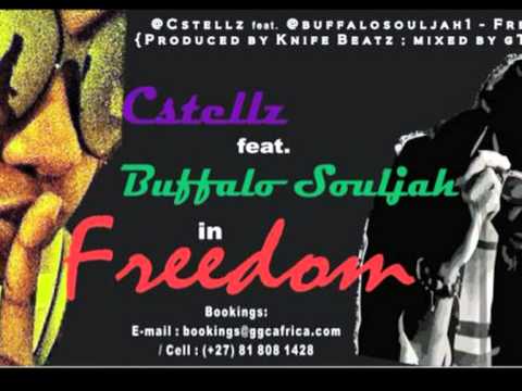 CStellZ ft Buffalo Souljah - Freedom