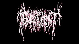 Permafrost Live At Summoning Of The Unholy 7-7-2007