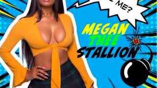 Megan Thee Stallion - Ya Feel Me
