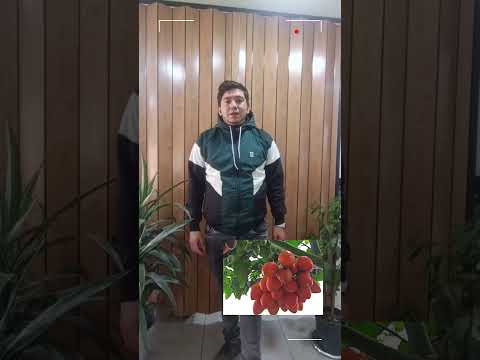 ¡Visita San Bernardo Cundinamarca!