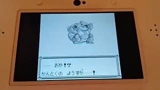 二人でピカ版実況 アーカイブ Part1(！！？)