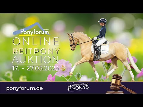 (english) Mr. Riös Wallach 2016 v. FS Mr.Right / Kaiserjäger XX