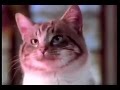 Friskies Nobody Has The Flavor