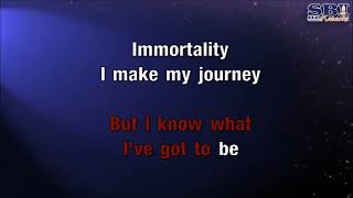 SH23382   Donny Osmond   Immortality Karaoke HDG SBI