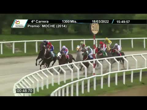 220318 c04 - ANGLOSAJON - HIPODROMO LAS PIEDRAS