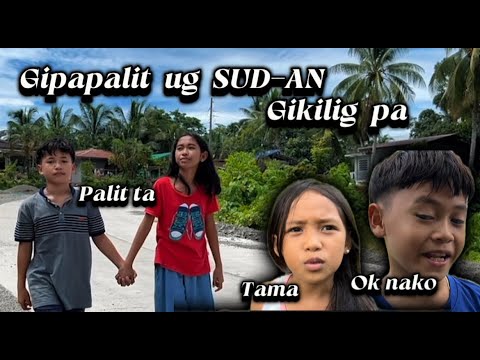 Gipapalit ug Sud-an,Gikilig pa