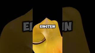 Einstein dies and goes to heaven #jokes #shorts