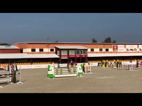 Venezia (Quality Time x Verdi) 2019/09/01 ZR-B Olsza - 115cm I SPRZEDANA / SOLD