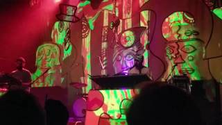 Animal Collective, Burglars, Live, Houston 111516