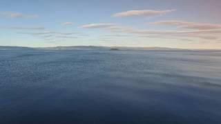 Love Theme from Blade Runner