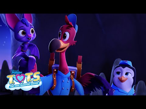 Video thumbnail for I’ve Got Your Wing