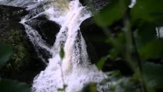 preview picture of video 'SWALLOW FALLS betws-y-coed'