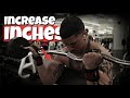 How To Get Big Arms Fast | BICEP WORKOUT