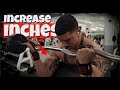 How To Get Big Arms Fast | BICEP WORKOUT