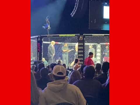 2023 Dodge Challenger race and review