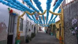 preview picture of video 'Ruas de Ereira - Montemor-o-Velho'